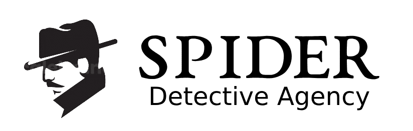 detective agency delhi logo